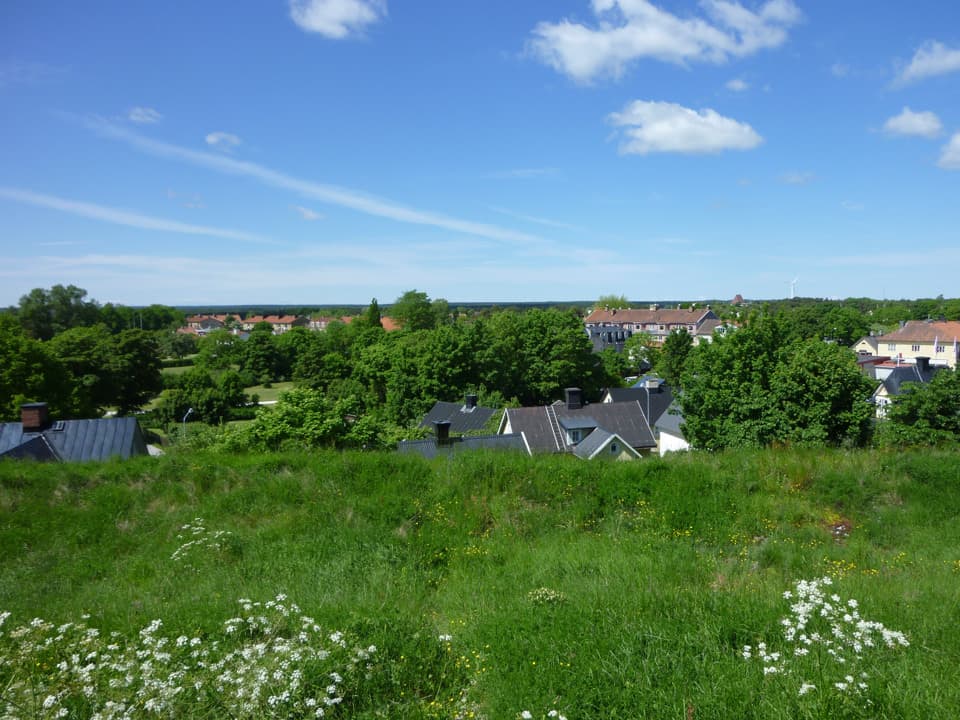 Foto tas från en höjd. I förgrunden är en vildvuxen gräsmatta, nedanför den syns flertalet hustak och trädtoppar. Himlen är blå med ett fåtal moln.