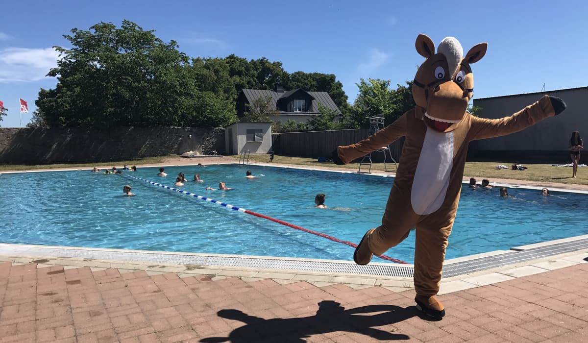 En maskot i form av en brun häst med vit man och vit mage dansar framför en pool.