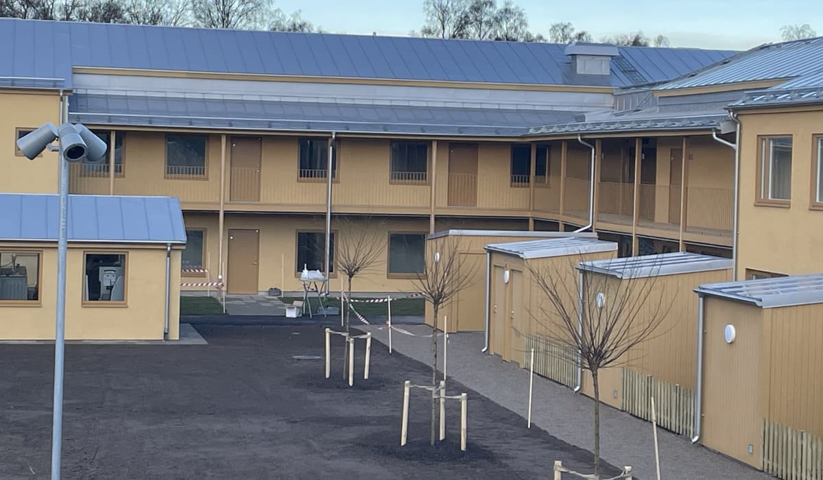 Vy över nyproducerat flerfamiljshus i gul puts. Framför huset är en uppenbart nylagd gräsmatta som än så länge bara är jord. Tre träd är nyplanterade och små.