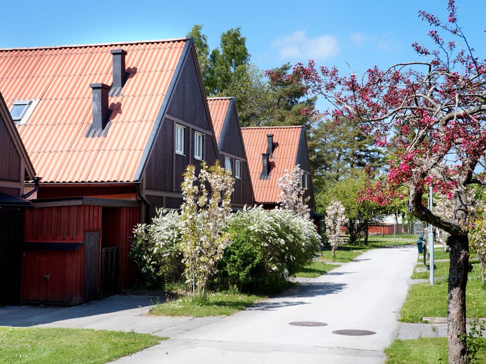 Brunröda hus ligger på rad längst med en smal asfalterad väg. Det är planterade träd med rosa blommor längs med vägen. Himlen är blå med några moln.