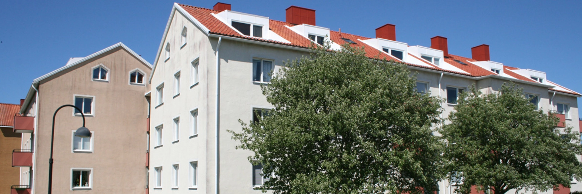 Husfasader med grönskande träd i förgrunden.