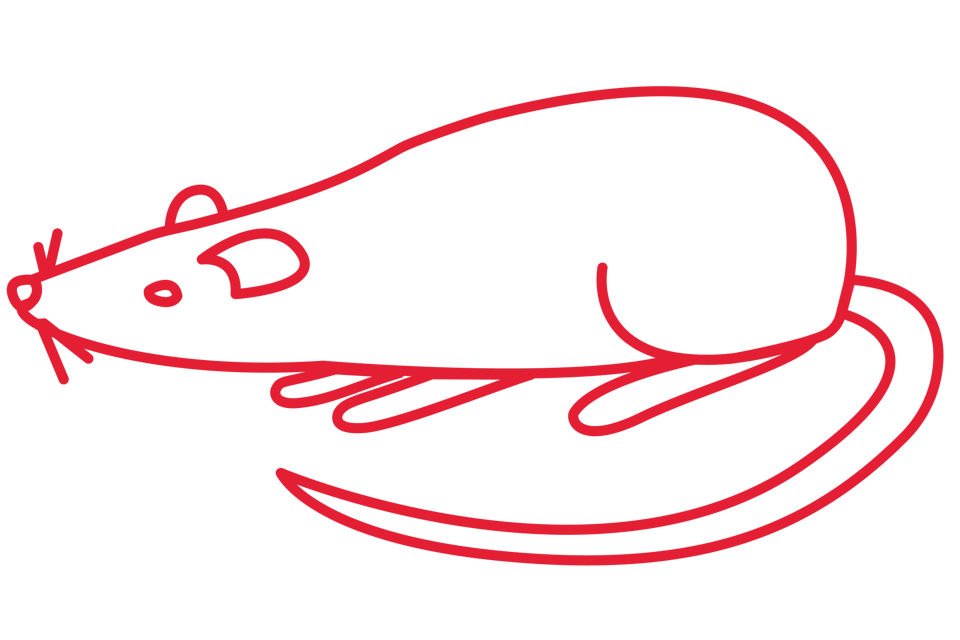 Röd illustration av en råtta eller en mus.