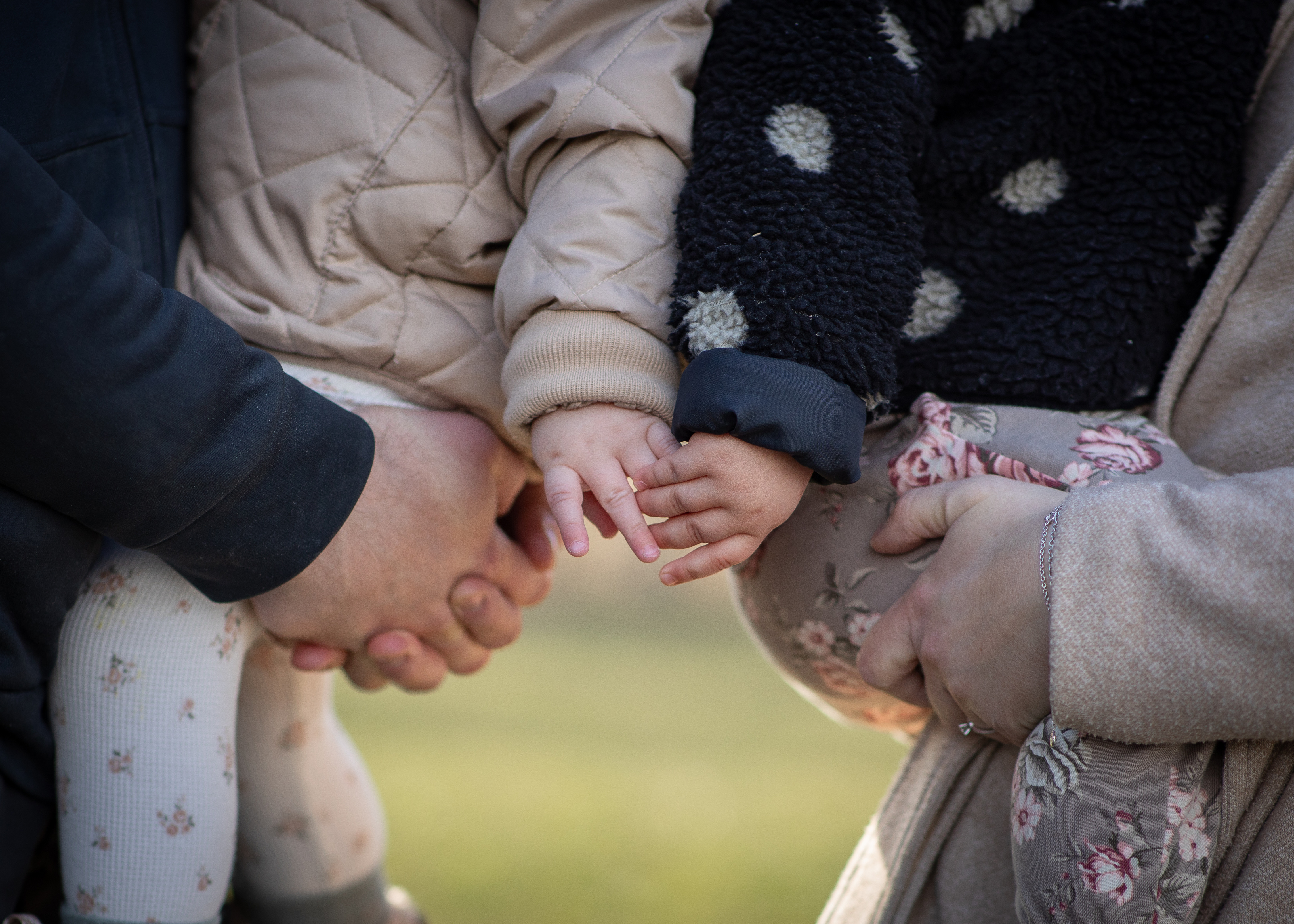 Två små barn som håller hand i två vuxnas famn