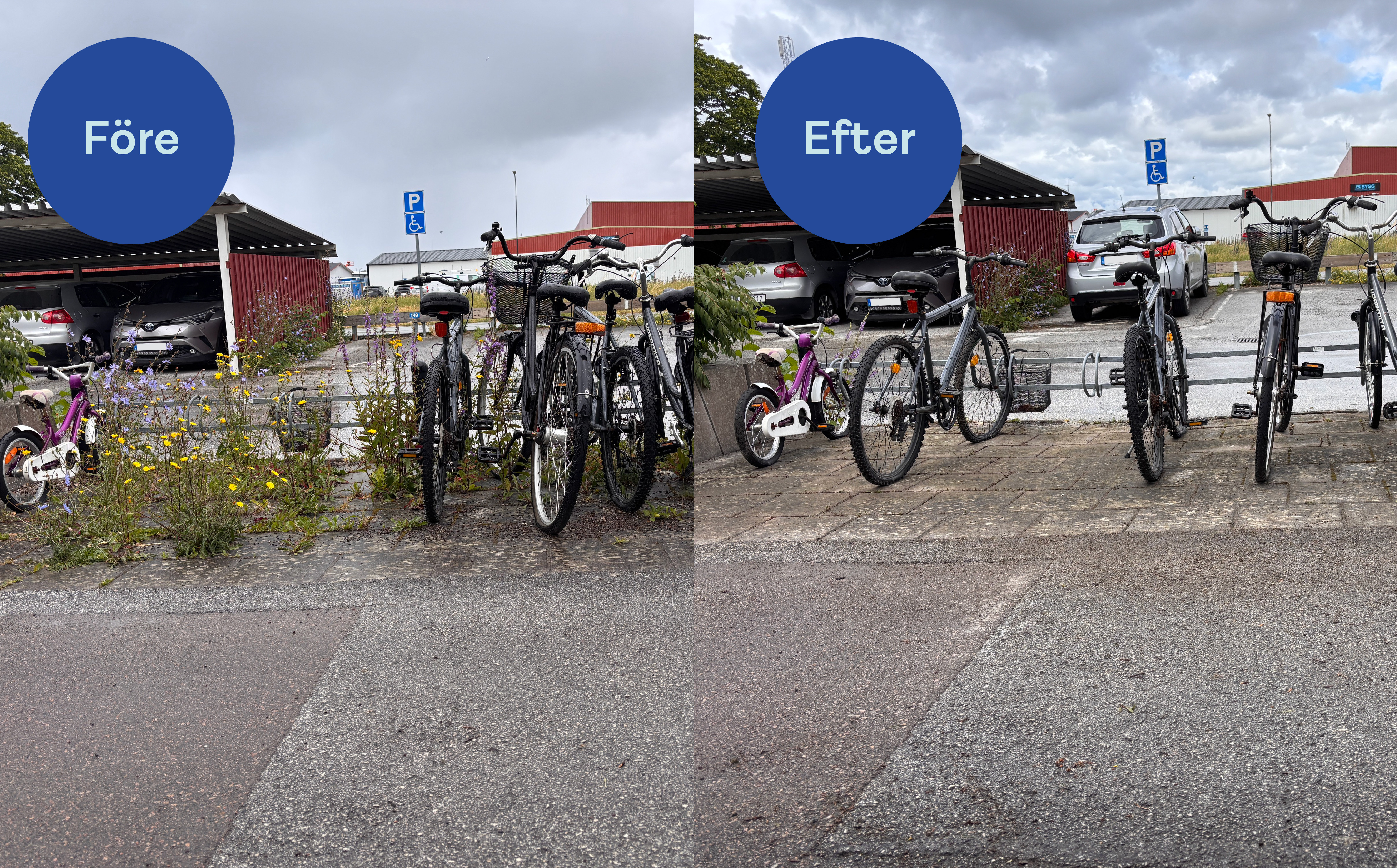 Några cyklar som står parkerade bredvid varandra. Man ser en förebild som är massor av ogräs på och en efterbild som är fin och rensad. 